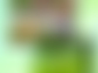 Best Price! Create Your Own Mother's Day Toiletry Bag