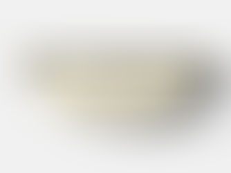 Big Deals! Gold Leopard, Gold Glitter, Leopard Print Fanny Pack