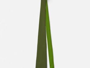 Best Price! Minimalist Professional Solid Army & Avocado Green Neck Tie