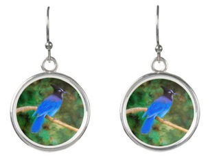 Review Steller's Jay Painting - Original Bird Art Earrings