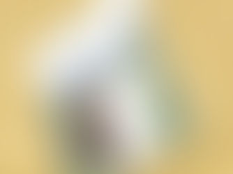 Top 10! Bear Forest Woodland Cabin Guest Information 3 Ring Binder