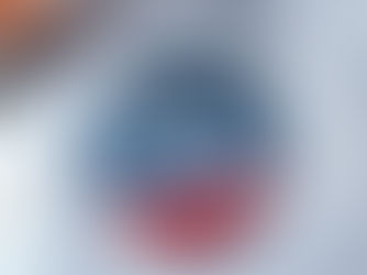 Hot Review! Biden Harris 2024 - Modern Wave Design Button