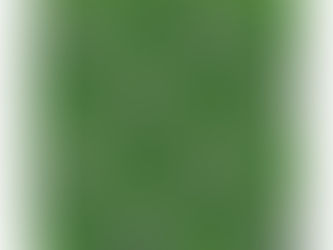 Best Price! Snoopy Beagle Scout Hiking Pattern Bandana