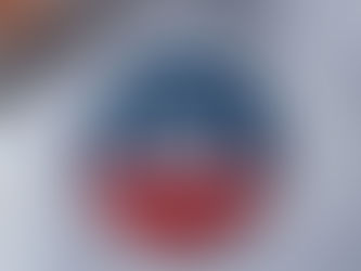 Review Create Your Own Campaign - Red Blue Classic Button