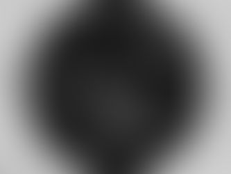 Big Deals! Falcon Full Moon Patch