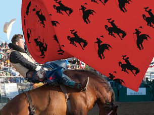 Best Deals! Western Cowboy Rodeo Bronc Riders Necktie