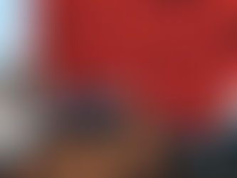 Best Deals! Western Cowboy Rodeo Bronc Riders Necktie