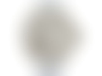 Best Price! Glamorous Gold Tropical Palm Trees on White Watch