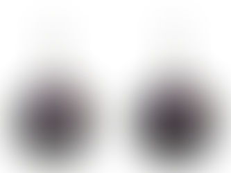 Best Price! Puerto Rico en mi Corazon Puerto Rican Pride Earrings