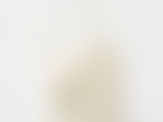 Hot Review! Greenery & Gold Geometric Elegant Floral Tote Bag