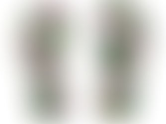 Hot Deals! Axolotl Kid's Flip Flops