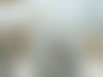 Hot Review! Modern Family Photo Mint Simple Lovely Gift Tote Bag