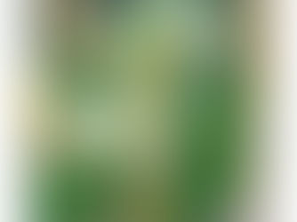 Hot Review! Beautiful Calla Lily Flower - Migned Art Drawing Bandana