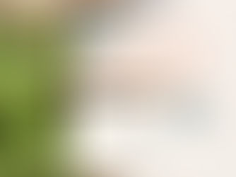 Review Tropical Palm Frond Colorblock Business Card