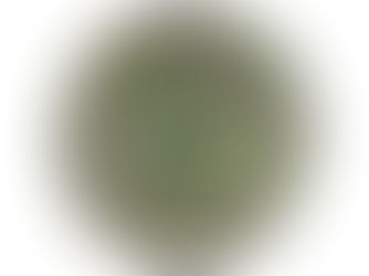 Best Price! Robin Hood Lapel Pin