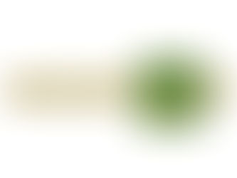 Review 3rd Armored Cavalry Regiment Gold Finish Tie Bar