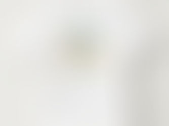 Big Deals! Young Wild & Three Dinosaur Boys 3rd Birthday Toddler T-shirt