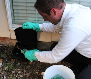 Mesquite Rodent Traps