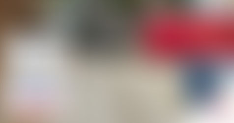 Cleaning Up Your Garage with a Small Dumpster in the Alley Driveway