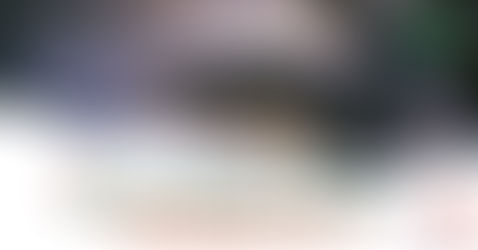 Snowy path with a discarded Christmas tree adorned with lights. Text reads: "How to Dispose of Your Christmas Tree." Raccoon cartoon nearby.