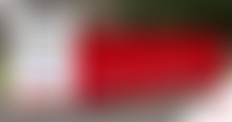 From Clutter to Clarity: The Benefits of Renting a Cleanout Dumpster for Your Move