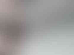 WhatsApp Image 2026-01-11 at 2.25.58 PM (1)