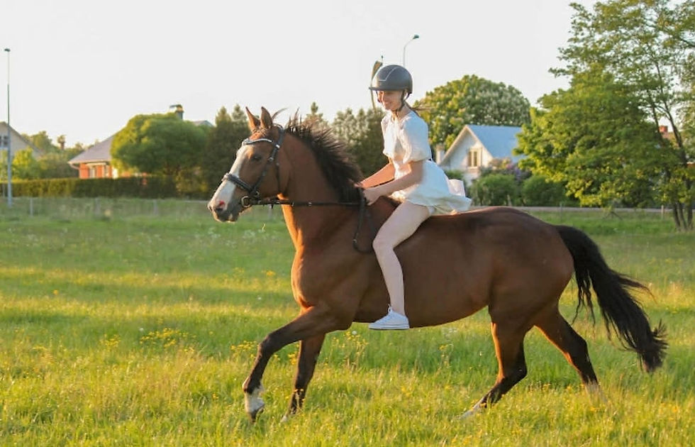 WhatsApp Image 2025-12-02 at 13.35.09 (1).jpeg