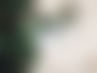 Your Ultimate Guide to a Penang Private Tour Experience