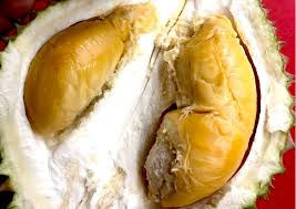 Explore Penang's famous durian season with a private tour – taste local varieties like Musang King in Balik Pulau with a local driver.