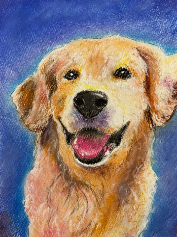 犬