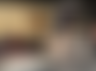 Committee Updates - February 2026