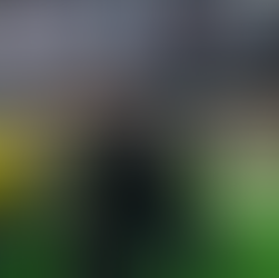 Saison charnière pour Wilfried Nancy