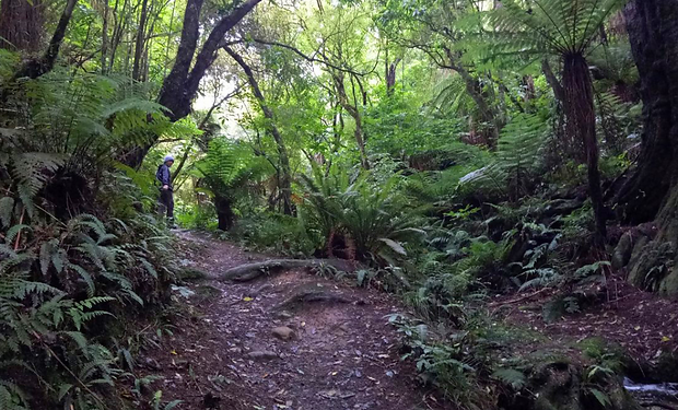 Trotters Gorge 2.png