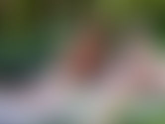 SEXO LIBRE, AIRE LIBRE