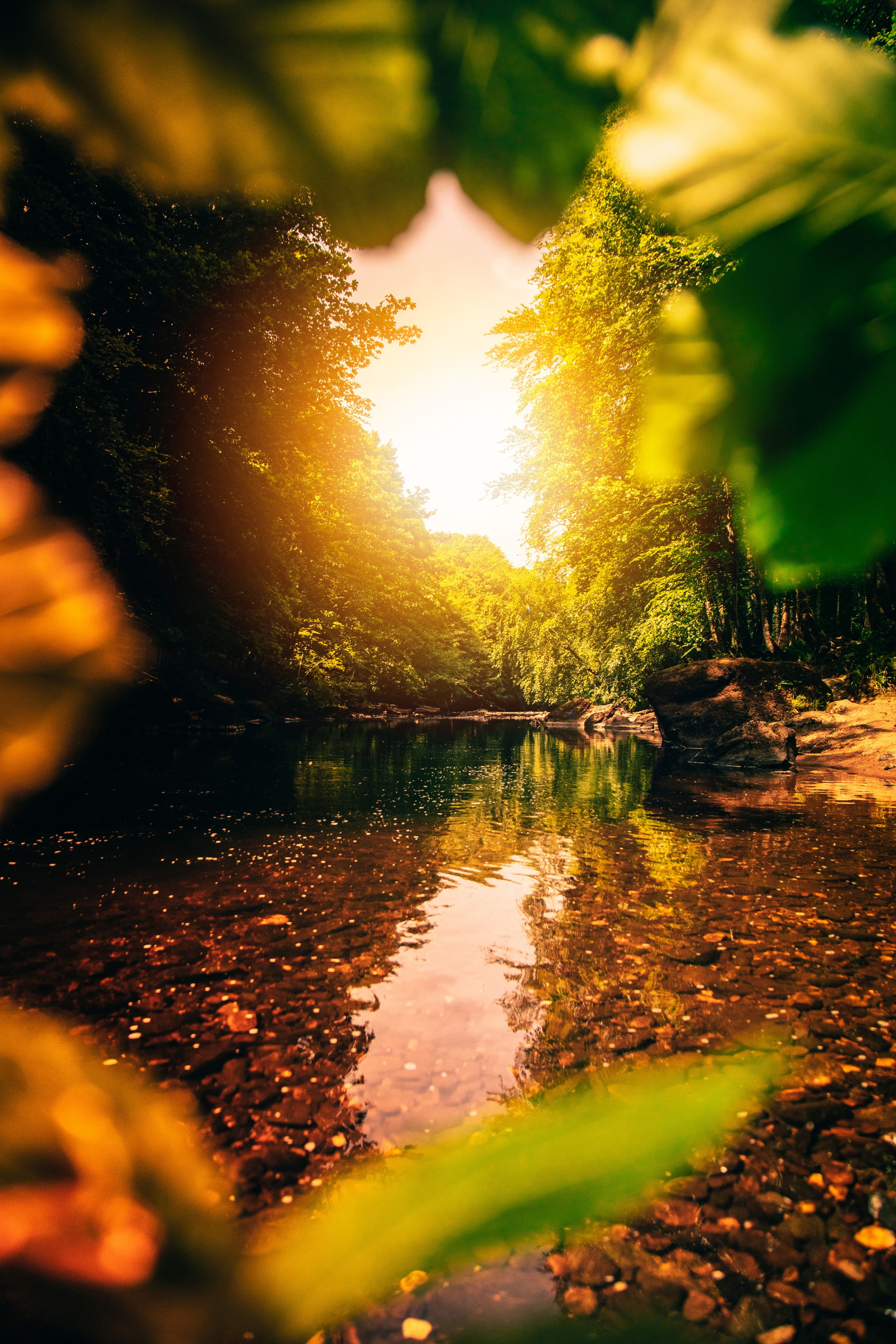 Limavady Country Park