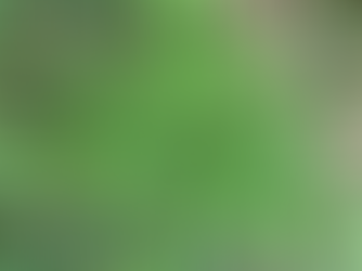 SWFL Lawn Update: Soil Temperatures Are Above 65° — Growth Has Officially Started