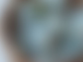 Spirulina Energy Balls