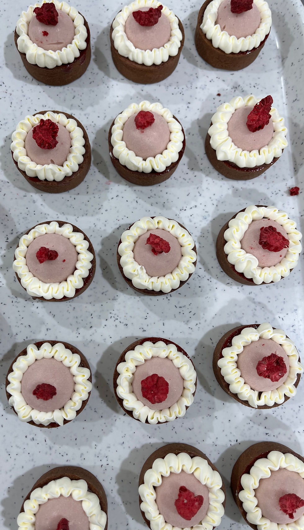Chocolate, Raspberry Mousse and Coulis Tart