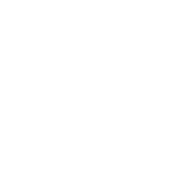 LAGO LOGO WHITE Version