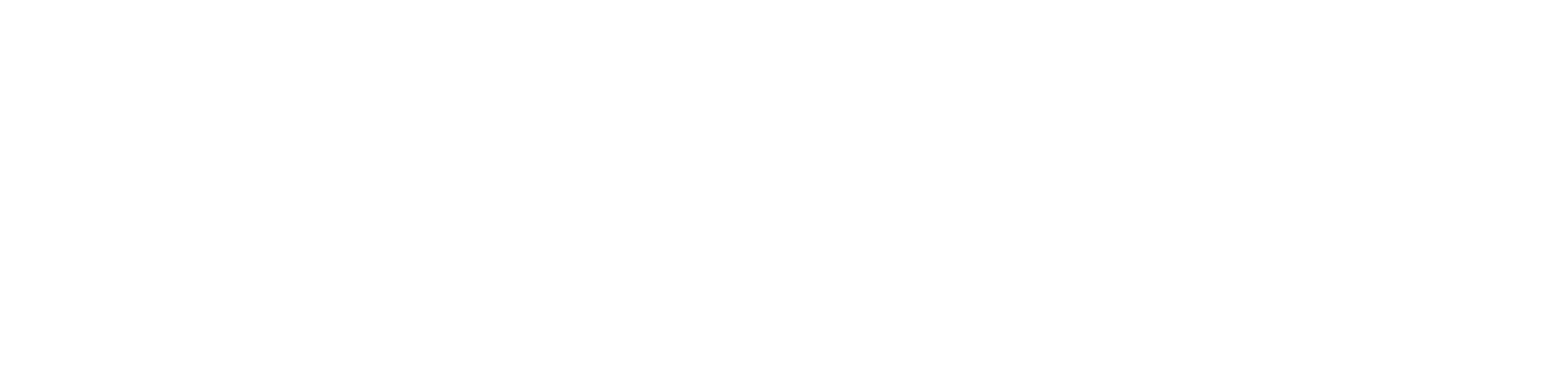 PRECISION_WHITE_LOGO.png