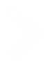 ARROW_WHITE.png