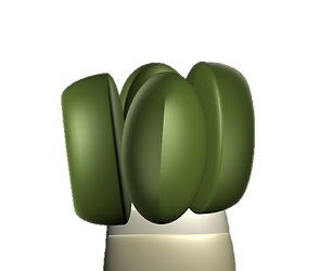 06.png