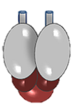 lu.png