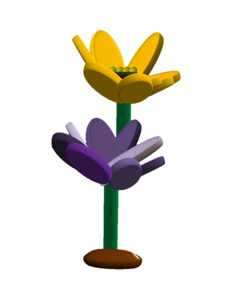 11.png
