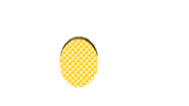 05.png