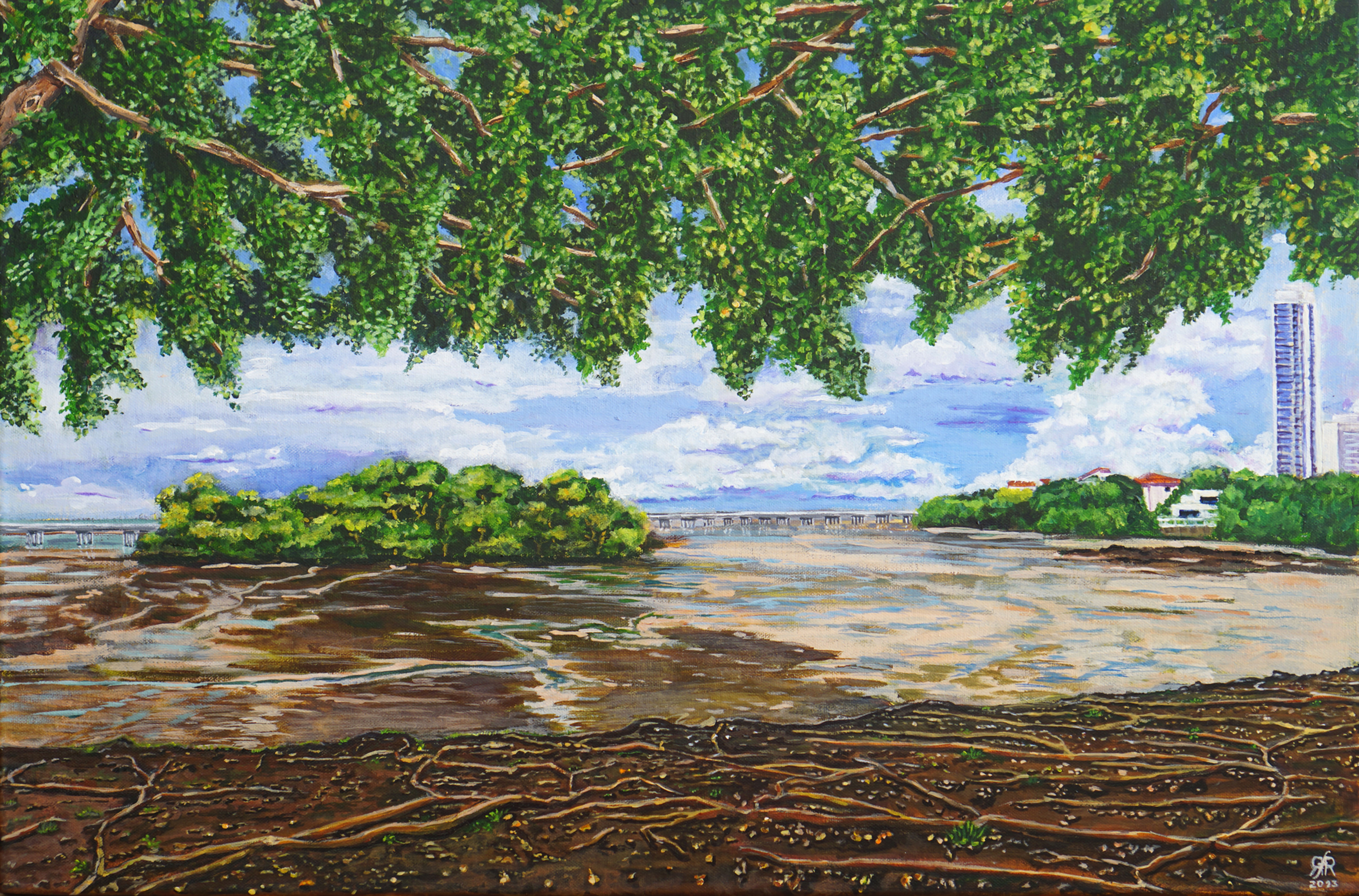 Reinier Rodríguez Ferguson - …por la sombrita