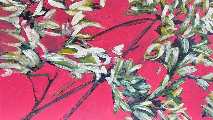 Diego Fábrega - Santa Elena