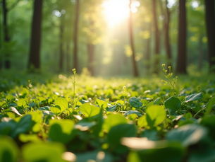 The Importance of Sustainable Living in Today's World
