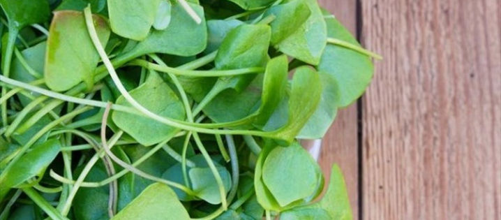 Τα 10 πιο θρεπτικά λαχανικά. Γιατί το μαρούλι είναι τελευταίο.