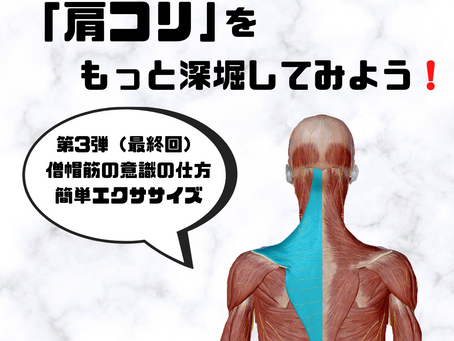 肩コリをもっと深堀してみよう!「第3弾 僧帽筋の意識の仕方,簡単エクササイズ」